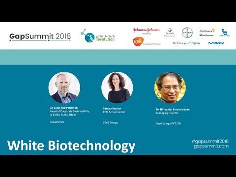 GapSummit 2018 Panel: Sustainability - White Biotech